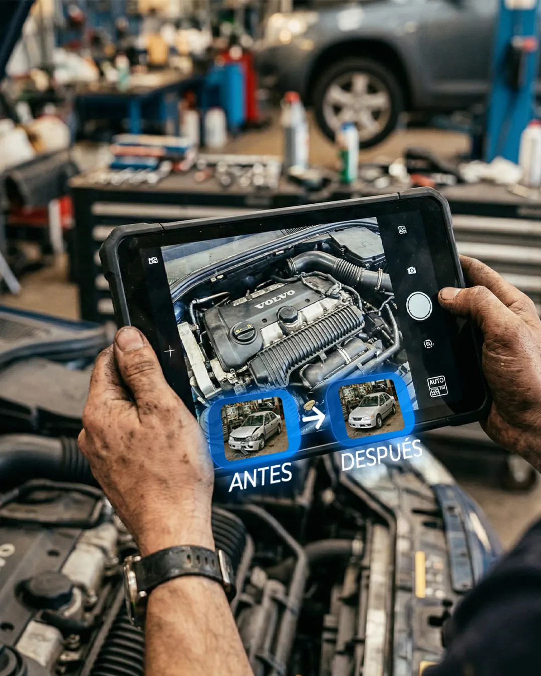 Respaldo fotográfico